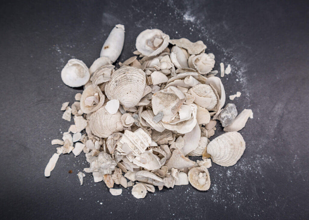 Coquina Crush Shells* - Anchor Rock