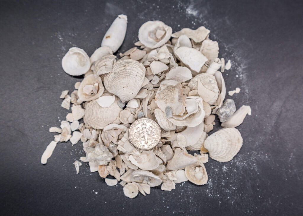 Coquina Crush Shells* - Anchor Rock