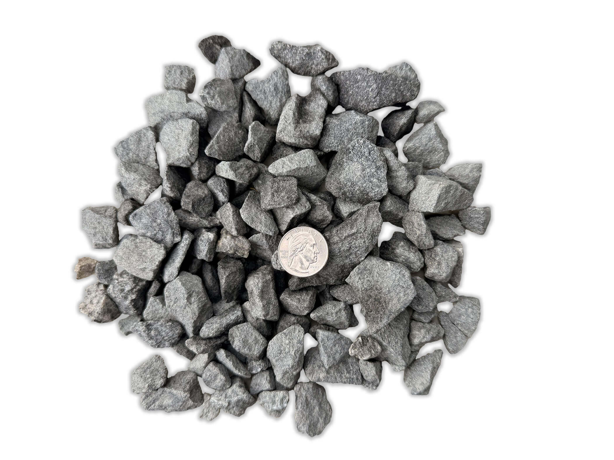 Black Sparkle - Image 2