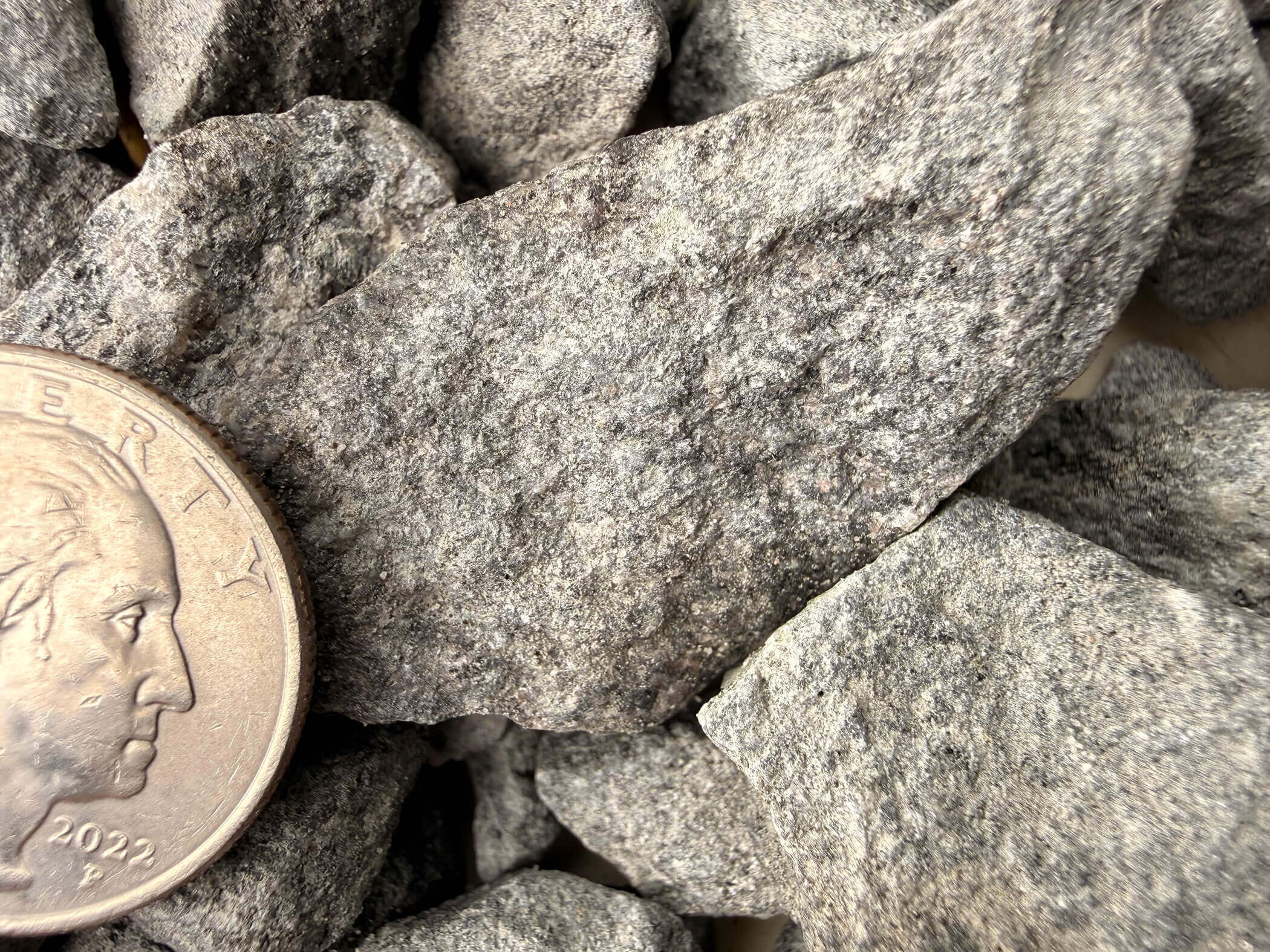 Black Sparkle - Image 3